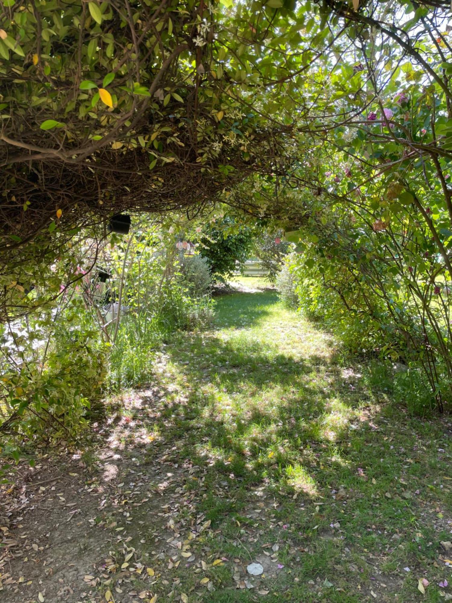 Gites Le Pimayon Manosque Exterior foto